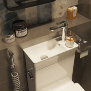 Japanese Style Space-Saving Integrated Sink Toilet
