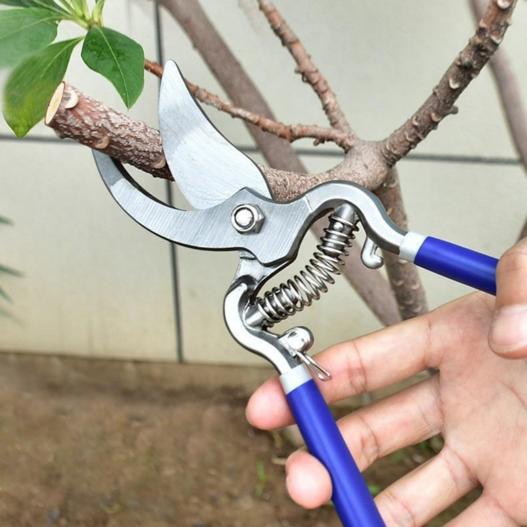 Pruning shears cutting a branch in the garden