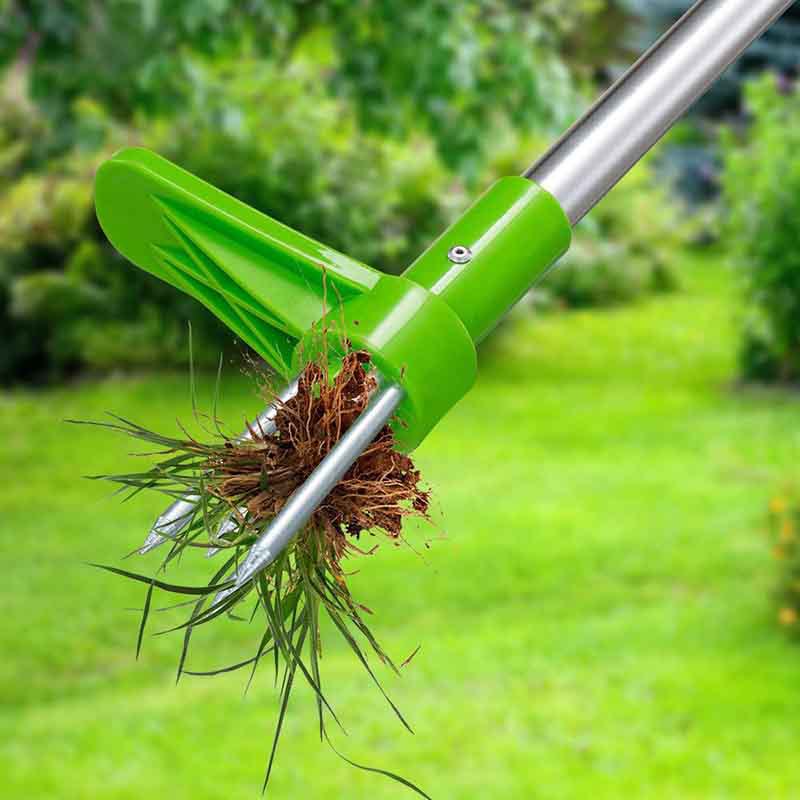 Weed puller removing weed with full root ball