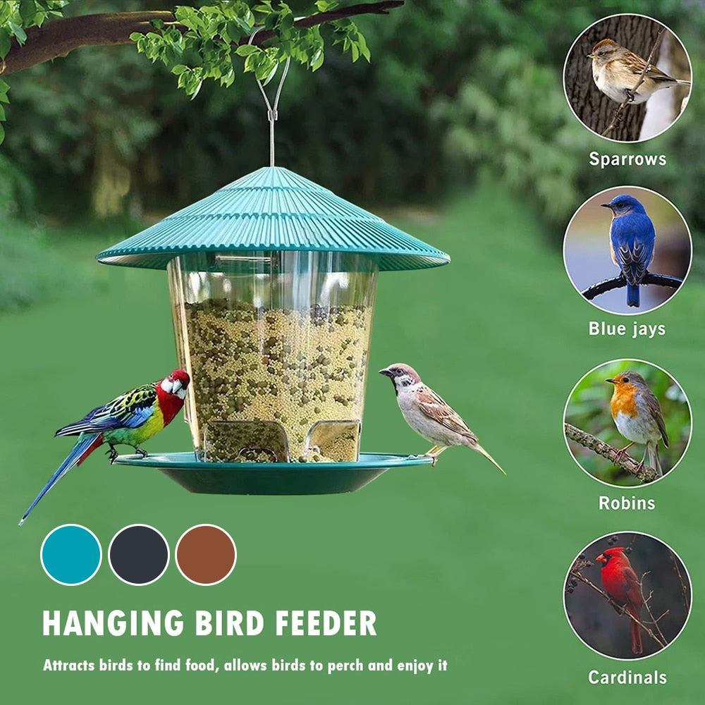 Wild bird seed feeder in garden