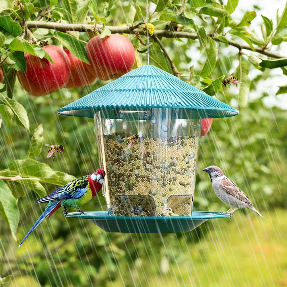Birds feeding from hanging metal bird feeder under apple tree