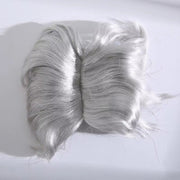 Auntie Style Funny Pet Wig