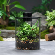 Mini Forest Maker Terrarium Decor Vase