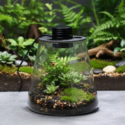 Mini Forest Maker Terrarium Decor Vase