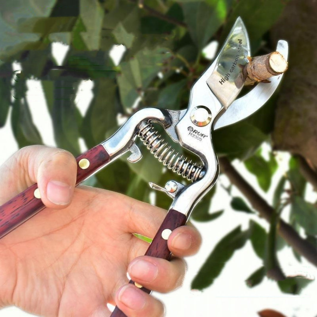 Spring-assisted garden secateurs close-up