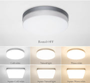 Natural Room Sleek LED Ceiling Light