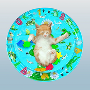 Interactive Water Pets Play Mat