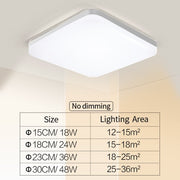 Natural Room Sleek LED Ceiling Light