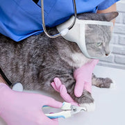 Anti-bite Breathable Small Pet Safety Mask