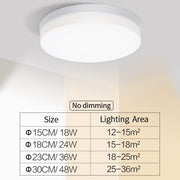 Natural Room Sleek LED Ceiling Light