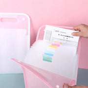Large Capacity Document Organizer Storage Folder