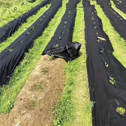 Garden Ground Cover Long-Lasting Anti-grass Fabric